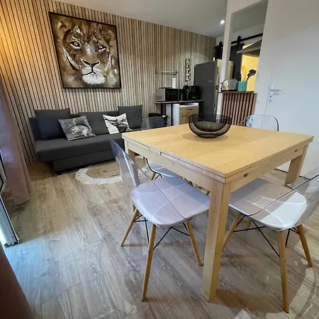 Avec Wifi Les Sables Face Apartment